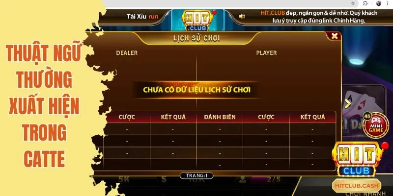 Thuật ngữ thường bắt gặp trong Catte